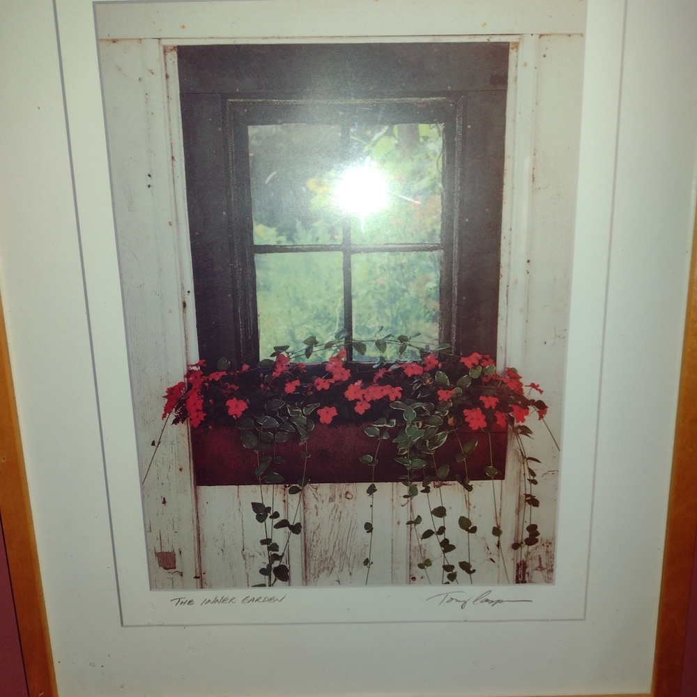 Inner Garden, Tony Casper Art, light oak frame.